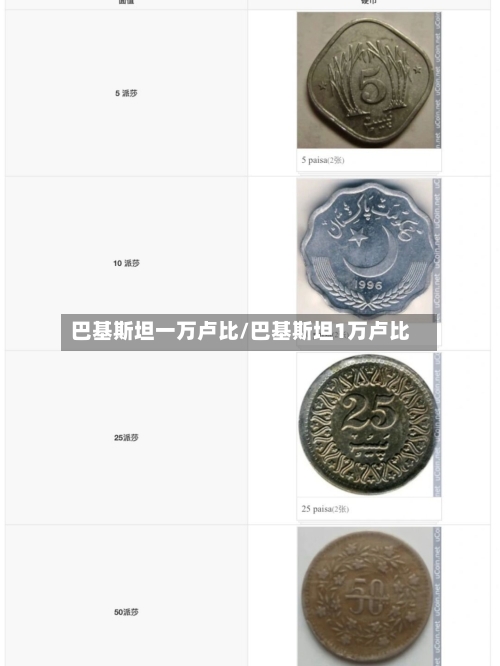 巴基斯坦一万卢比/巴基斯坦1万卢比-第2张图片
