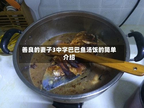 善良的妻子3中字巴巴鱼汤饭的简单介绍