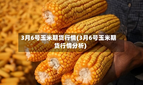 3月6号玉米期货行情(3月6号玉米期货行情分析)