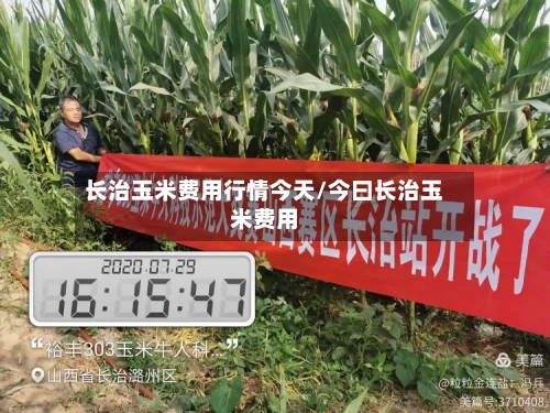 长治玉米费用行情今天/今曰长治玉米费用-第2张图片