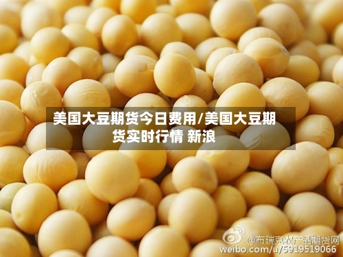 美国大豆期货今日费用/美国大豆期货实时行情 新浪