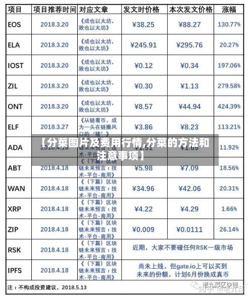 【分菜图片及费用行情,分菜的方法和注意事项】-第3张图片