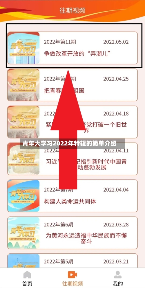 青年大学习2022年特辑的简单介绍-第2张图片