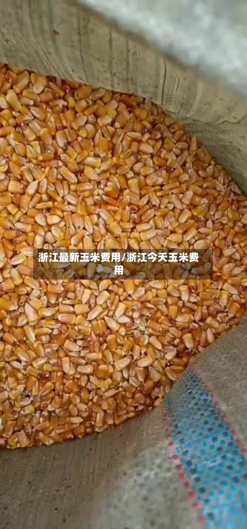 浙江最新玉米费用/浙江今天玉米费用-第2张图片
