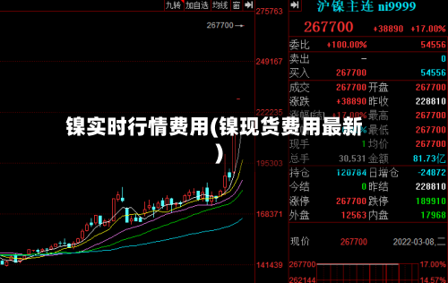 镍实时行情费用(镍现货费用最新)-第2张图片