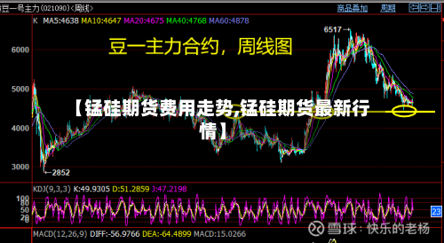【锰硅期货费用走势,锰硅期货最新行情】