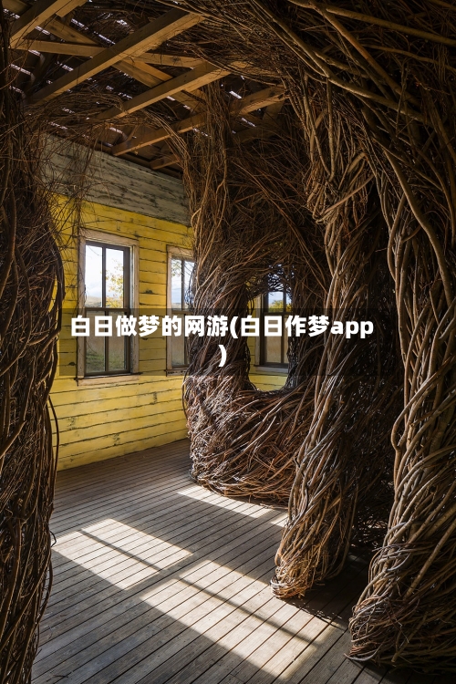 白日做梦的网游(白日作梦app)-第2张图片