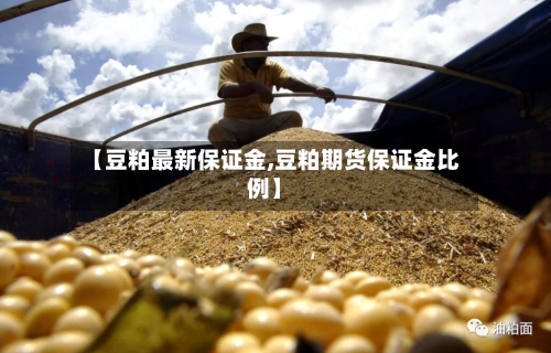 【豆粕最新保证金,豆粕期货保证金比例】-第3张图片