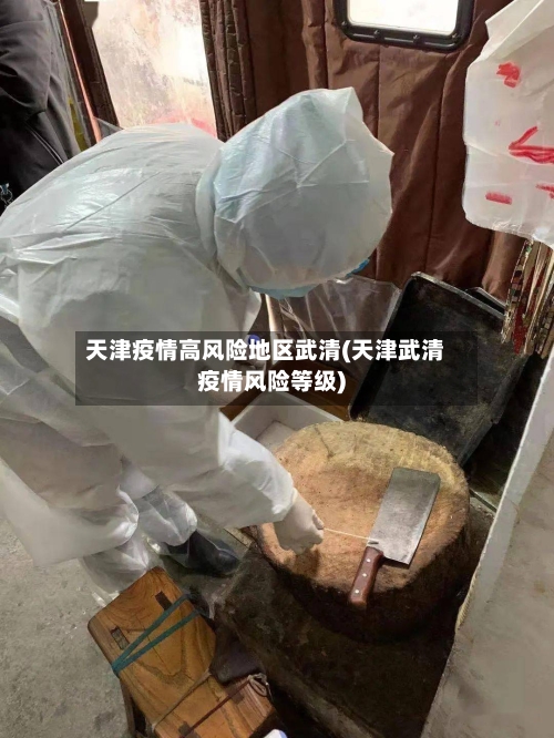天津疫情高风险地区武清(天津武清疫情风险等级)-第2张图片