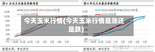 今天玉米行情(今天玉米行情是涨还是跌)