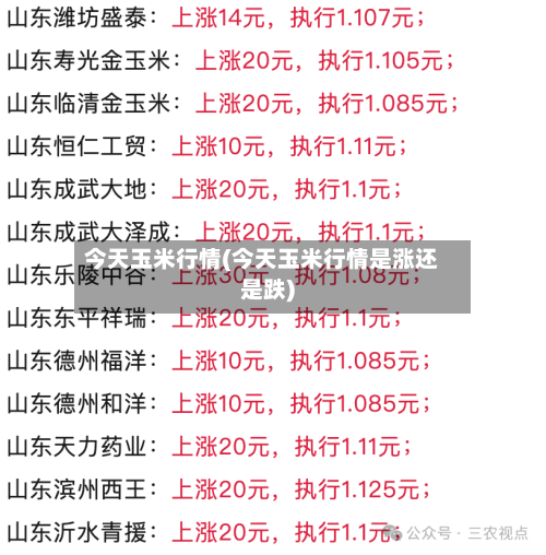 今天玉米行情(今天玉米行情是涨还是跌)-第2张图片