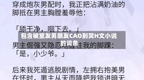 包含被室友男朋友CAO到哭H文小说的词条