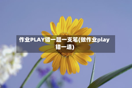 作业PLAY错一题一支笔(做作业play错一道)