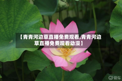 【青青河边草直播免费观看,青青河边草直播免费观看动漫】
