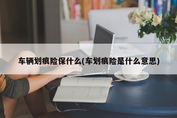 车辆划痕险保什么(车划痕险是什么意思)