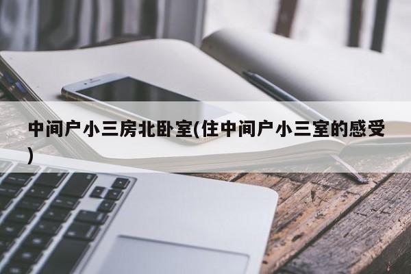 中间户小三房北卧室(住中间户小三室的感受)